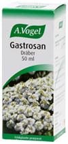 Gastrosan Dr�ber A. Vogel